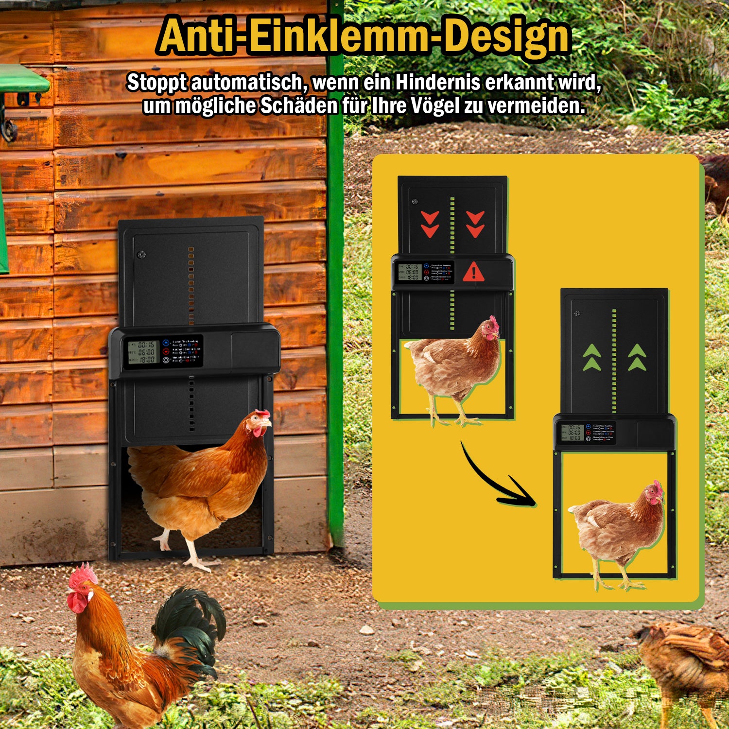 SWANEW Automatische Hühnerklappe – Elektrischer Hühnerstall-Türöffner mit Timer & großem Display – Wasserdicht & Robust für Hühner, Enten & Kleintiere
