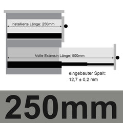 SWANEW Schubladenschienen 250 - 550 mm, Schubladen Schienensystem mit Selbsteinzug, Teleskopschiene vollauszug Schubladenauszüg, Kugelführung, Tragkraft 35 Kg