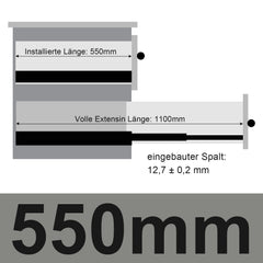 SWANEW Schubladenschienen 250 - 550 mm, Schubladen Schienensystem mit Selbsteinzug, Teleskopschiene vollauszug Schubladenauszüg, Kugelführung, Tragkraft 35 Kg
