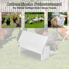 SWANEW Futterautomat für hühner Geflügel mit Deckel Futterspender, 5kg Fußpedal selbstöffnender Futtertrog automat hühnerfutter
