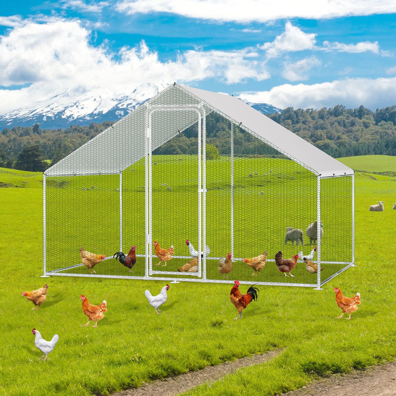 Hühnerstall Freilaufgehege 3x2x2m Stahlrahmen