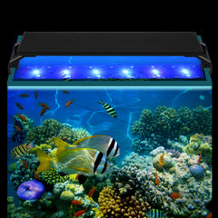SWANEW LED Aquarium Beleuchtung, 16W/20W/25W, Aquariumbeleuchtung Weiß Blau, Aquarium Lampe mit Verstellbarer Halterung, für 90cm-120cm Süßwasser-Aquarien