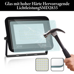 SWANEW LED Strahler, 20/30/50/100W LED Fluter, Warmweiß/Kaltweiß Außenstrahler, IP66 Scheinwerfer (kein Stecker)