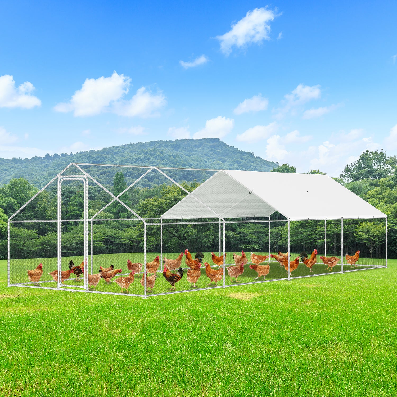Hühnerstall, 3x8x2m, Freilaufgehege