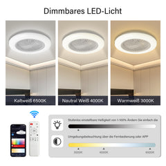 SWANEW Deckenventilator mit RGB LED Beleuchtung, 6 Geschwindigkeiten, Stufenloses Dimmen, φ49cm, Ventilator Lüfter Deckenlampe
