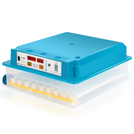 SWANEW 64 Eier Brutmaschine Vollautomatisch – Inkubator für Hühner, Enten & Wachteln mit Feuchtigkeitsüberwachung, automatischer Eierrotation & LED-Display