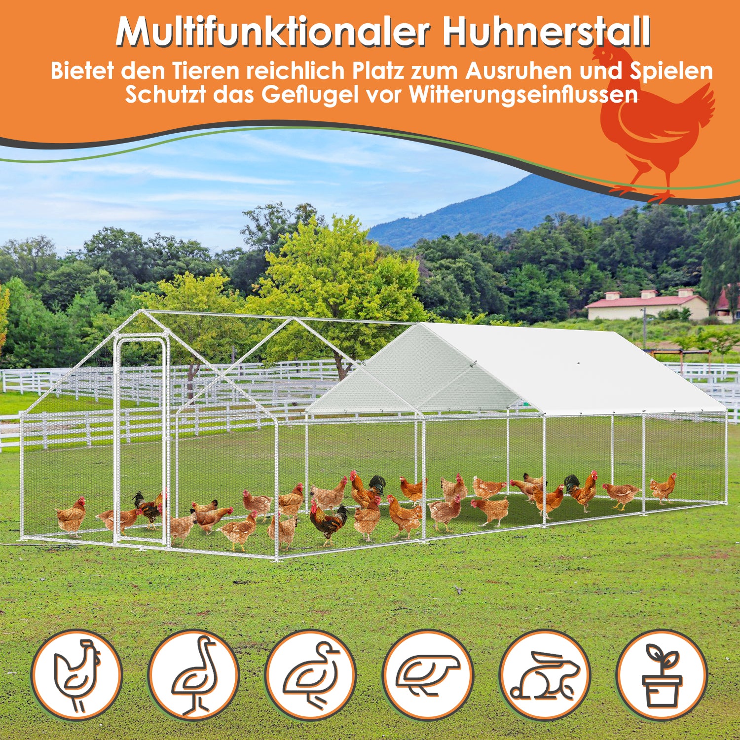 Hühnerstall, 3x8x2m, Freilaufgehege