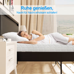 SWANEW Bettgestell mit LED Beleuchtung, bettgestell mit Kopfteil, Stabiler Holzlattenrost + gute Qualität Leder, Matratze nicht im Lieferumfang enthalten
