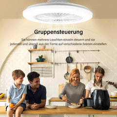 SWANEW Deckenventilator mit RGB LED Beleuchtung, 6 Geschwindigkeiten,  Stufenloses Dimmen, φ49cm, Ventilator Lüfter Deckenlampe