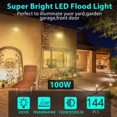 SWANEW LED Strahler, 20/30/50/100W LED Fluter, Warmweiß/Kaltweiß Außenstrahler, IP66 Scheinwerfer (kein Stecker)