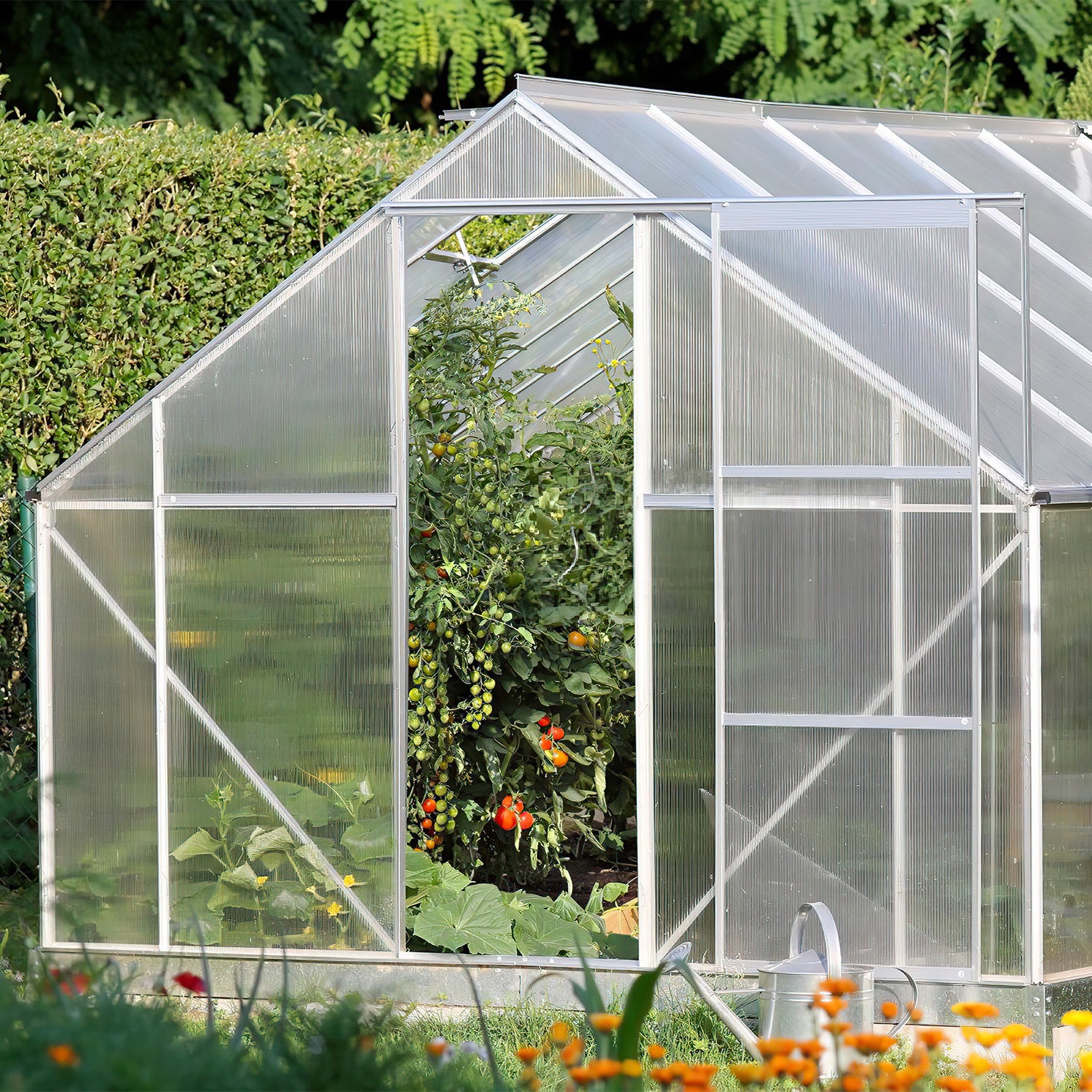 SWANEW 14× Polycarbonat Hohlkammerstegplatten 4 mm – UV-beständige Doppelstegplatten 60,5×121 cm mit 50 Stück W-Clips & 50 Stück Z-Clips – Ideal für Gewächshaus, Garten & Überdachung
