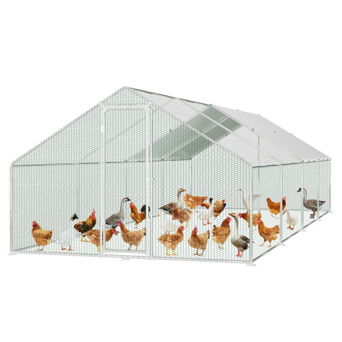 Hühnerstall, 3x8x2m, Freilaufgehege