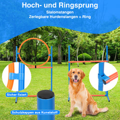 SWANEW Agility Set Hunde groß, 5-teiliges Set Hundetraining zubehör Agility Hürde, Slalom, Agility Hürde, Sprungring & Hundetunnel