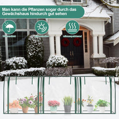 SWANEW Foliengewächshaus Frühbeet Transparent PVC, Gemüse Tomatenhaus Gewächhäuser mit Reißverschluss 270 × 90 × 90cm