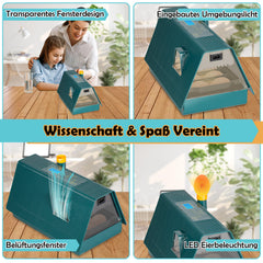 10 Eier Brutmaschine Vollautomatisch
