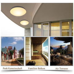 SWANEW LED Deckenlampe mit Bewegungsmelder Deckenleuchte mit Tageslichtsensor Warmweiss 12W 960 Lumen Ø24 cm
