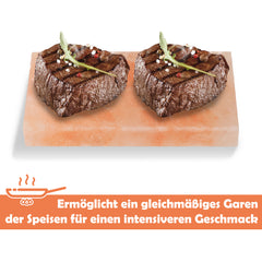 Salzstein zum Grillen 20x10x2,5cm