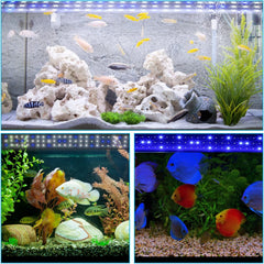 SWANEW Aquarium LED Beleuchtung, 10W Aquarium Lampe,  einstellbare Helligkeit Aquariumbeleuchtung Weiß Blau Licht, für Süßwasser-Aquarien
