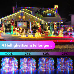 SWANEW 10 Meter LED Lichterschlauch Außen, Wasserfest LED Schlauch, mit Fernbedienung & Timer, Dimmbar & Memory-Funktion, IP65 [Energieklasse F]