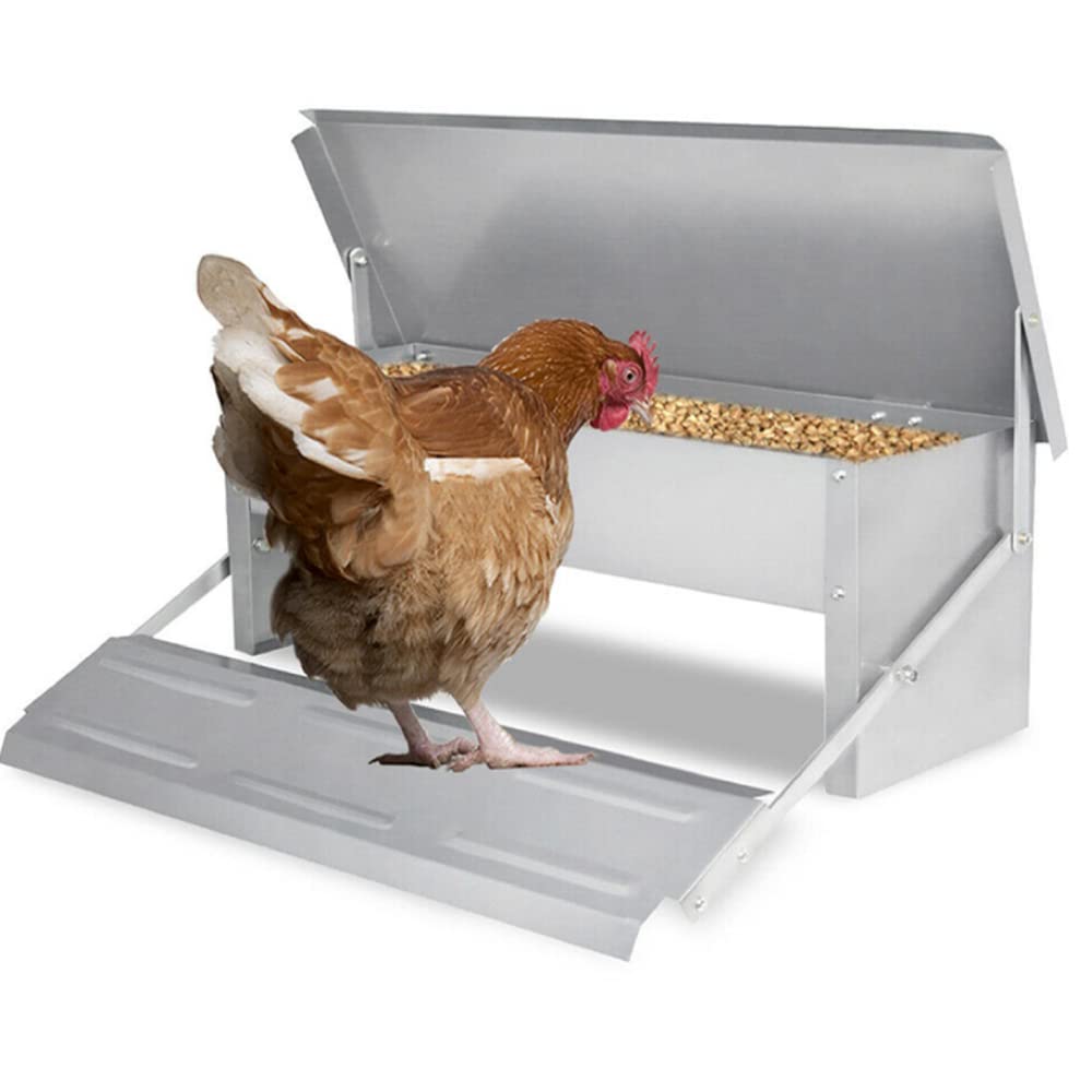 Futterautomat für Hausgeflügel Selbstfütterer Geflügelaufzucht